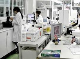 Lowpept, primer complemento alimenticio español contra la hipertensión 