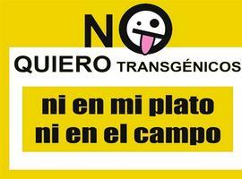Tarde o temprano caerá el Goliath transgénico