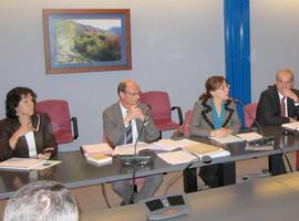Informe favorable de la CUOTA a los planes parciales de Cabueñes y el Infanzón   
