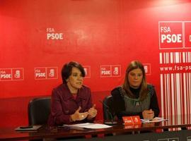 \"El PSOE se movilizará en la calle y cuestionará la constitucionalidad de la reforma de la ley del aborto\"