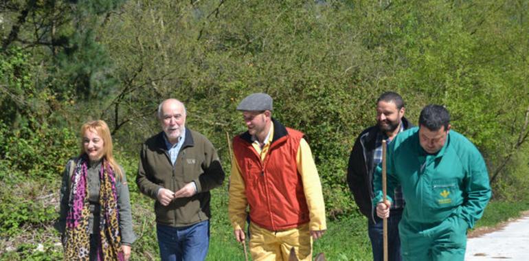 Les vaques del Monte Cayón estrenen carretera