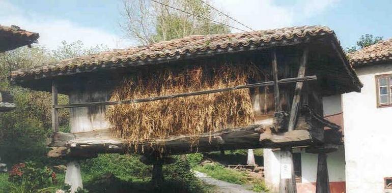Hórreo y panera