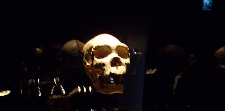 El Homo heidelbergensis gozó en Atapuerca de un clima de bonanza similar al actual hace 300.000 años