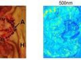 Un nuevo método permitirá el análisis experimental de cualquier tipo de medio óptico