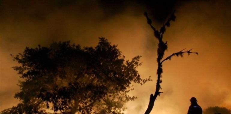 ¿Un buen año sin incendios forestales