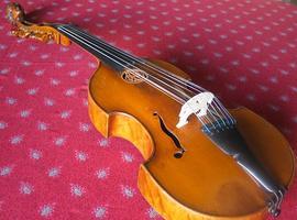 Oviedo acogerá el V Congreso Nacional de Violas