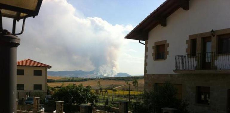 Declarado un incendio de vegetación en Arraiza (Zabalza
