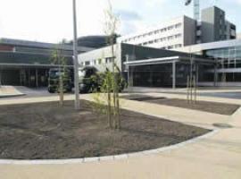Sanidad saca a concurso el traslado del hospital de Mieres en 122.754 euros