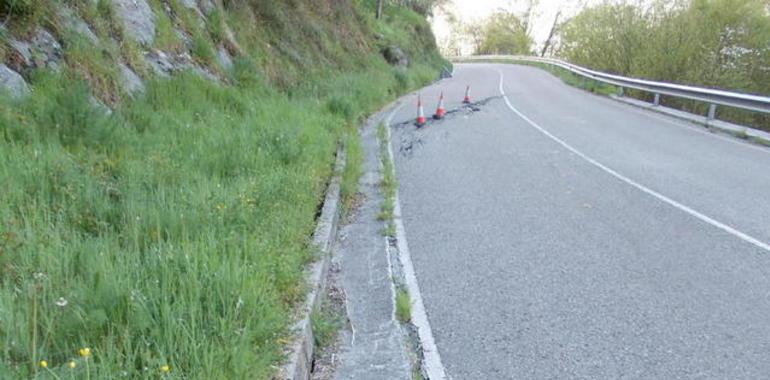 FORO pide la reparación de las carreteras AS-345 en Ruenes y la AS-114 entre Cangas de Onís y Panes