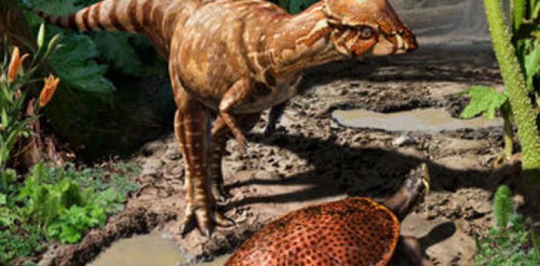 Hallada una nueva especie de dinosaurio en Canadá 