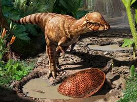 Hallada una nueva especie de dinosaurio en Canadá 