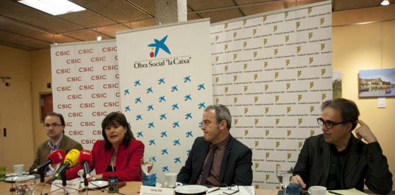 Envejecimiento, Proyecto Cero