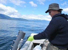 Nuevo método para detectar virus infecciosos del salmón