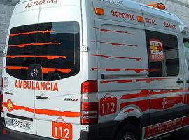 Herido de consideración un trabajador atropellado por una grúa en Valnalón