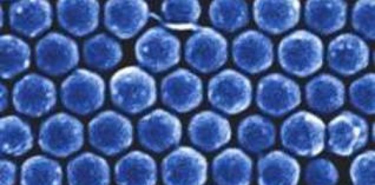 El CSIC logra un metamaterial basado en silicio