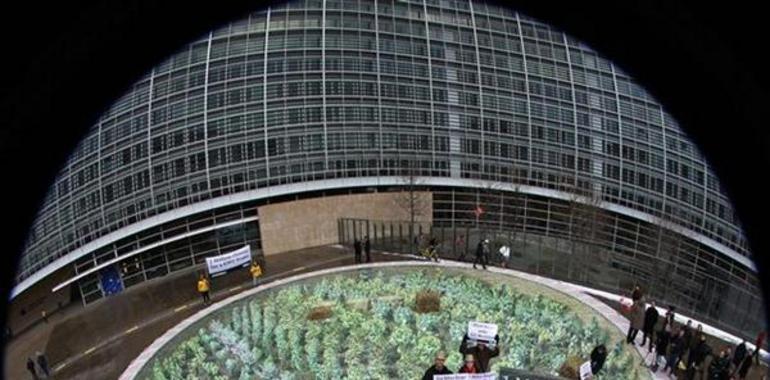 El Parlamento Europeo refuerza el derecho de los Estados a prohibir los cultivos de transgénicos
