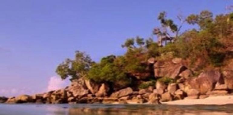 Las Estrellas de Mar también dan “protección” al ser humano