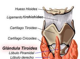 El HUCA abre la puerta a nuevos tratamientos del cáncer de tiroides 