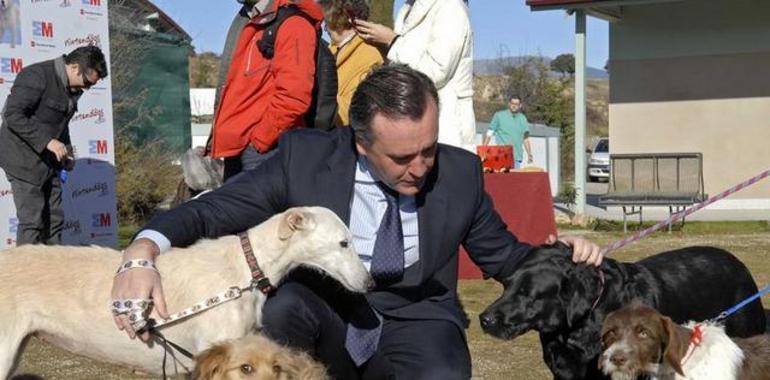 La feria 100x100 Mascota impulsa la adopción de perros adultos