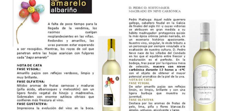 El albariño D. Pedro de Soutomaior Neve Carbónica, oro en el concurso Baco Joven 2013