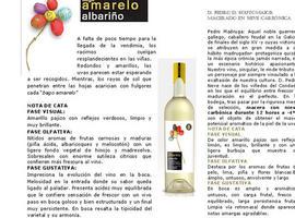 El albariño D. Pedro de Soutomaior Neve Carbónica, oro en el concurso Baco Joven 2013
