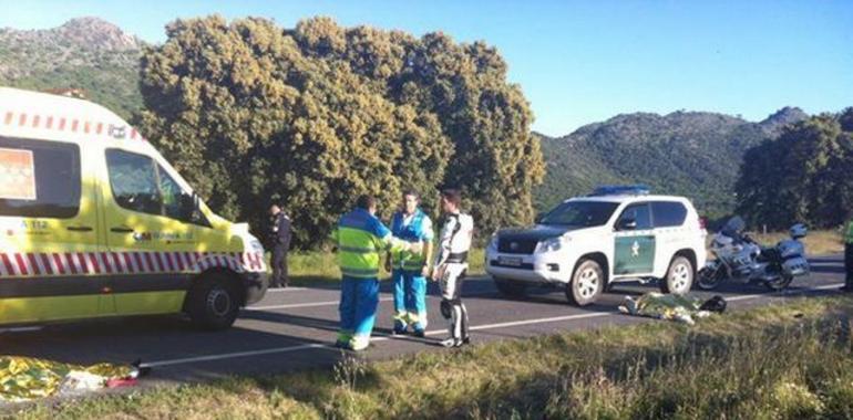 Mueren dos motoristas en un accidente a causa de un perro, en Rodrigo de Chavela