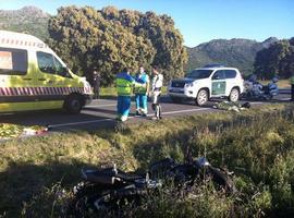 Mueren dos motoristas en un accidente a causa de un perro, en Rodrigo de Chavela