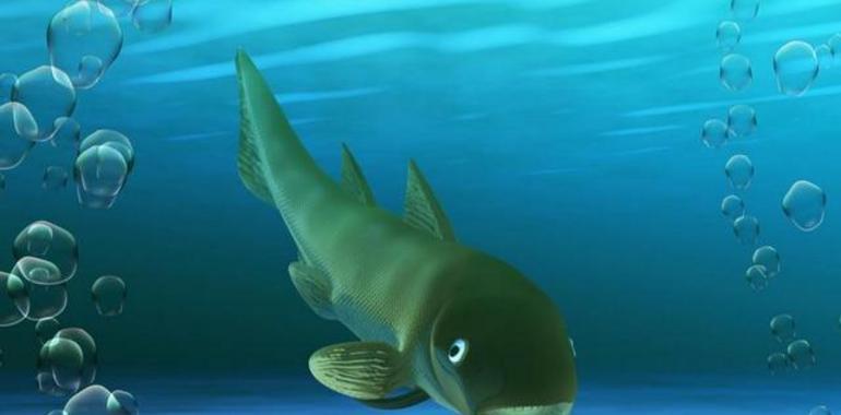 Un pez marino en Teruel