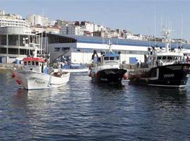 Alcanzado un acuerdo sobre la reforma de la Política Común Pesquera (PCP) 