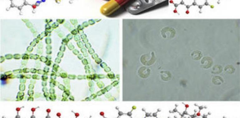 Los vertidos de antibióticos dañan el medio ambiente 