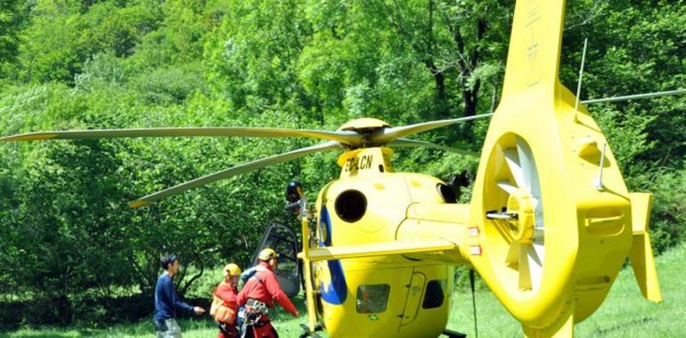 Trasladado a Arriondas en helicóptero un menor indispuesto en el Dobra, en Cangas de Onís