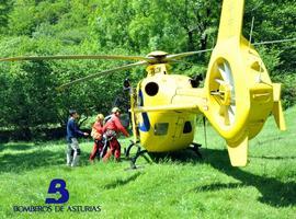 Trasladado a Arriondas en helicóptero un menor indispuesto en el Dobra, en Cangas de Onís