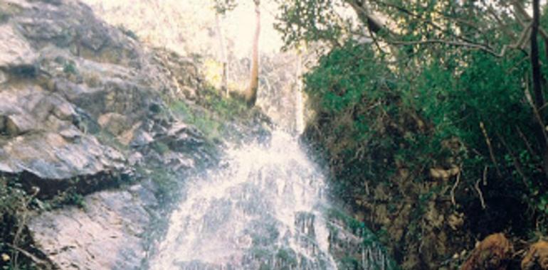 El Parque Natural de Ponga tendrá un nuevo Plan de Uso y Gestión