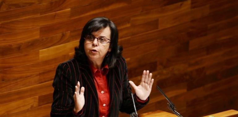 Agroganadería saca a licitación obras de mejora de caminos en Tineo por 1,3 millones