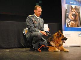 Ajax, un perro condecorado por sus servicios relevantes 