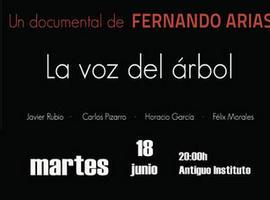 Fernando Arias presenta en el Antiguo Instituto de Gijón “La voz del árbol, el documental”