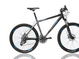 Piden ayuda para recuperar una bicicleta robada en Lugo de Llanera