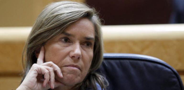 Igualdad condena el último asesinato a una mujer por violencia de género en Jerez de la Frontera 