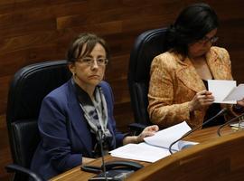 El servicio de transporte público al aeropuerto de Asturias amplía frecuencias y conexiones