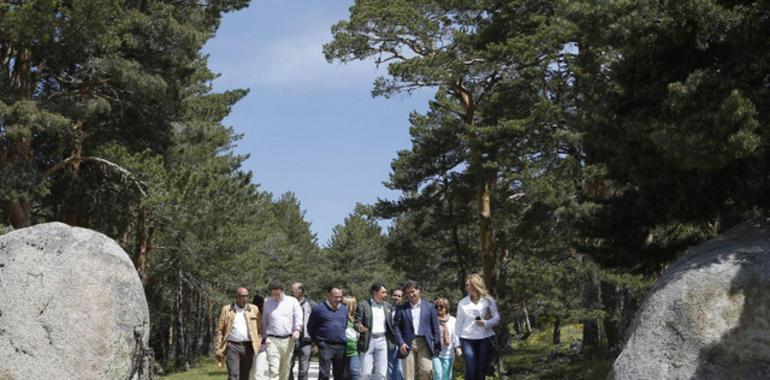 Luz verde la declaración del Parque Nacional de la Sierra de Guadarrama 