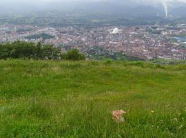 Primera marcha ¡Salvemos el Naranco! contra su destrozo ambiental