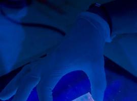 Las defensas inmunitarias se basan en una potencial oncoproteína