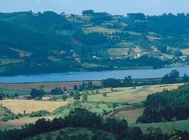 Comienza la repoblación de almejas en la ría de Villaviciosa con 170.000 unidades