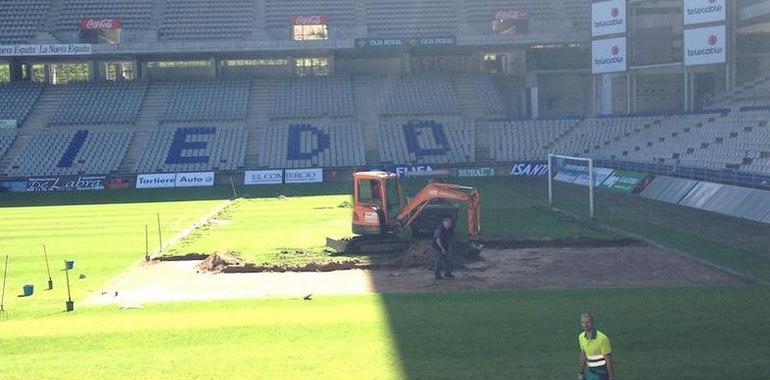 Comienzan las mejoras del césped del Tartiere