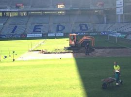 Comienzan las mejoras del césped del Tartiere