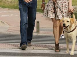 Exhibición de perros guía en la Escandalera