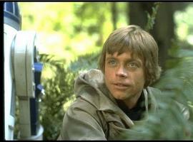 Mark Hamill, el auténtico Luke Skywalker, confirma su asistencia a Star Wars Celebration Europe