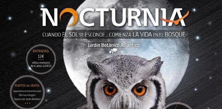 El botánico estrena nocturnia, primer y único documental en vivo para conocer las aves nocturnas