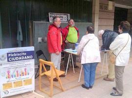 30.000 asturianos participaron en el Plebiscito ciudadano