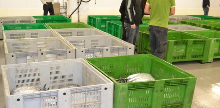 Las rulas podrán vender cupos de pescado directamente a los consumidores